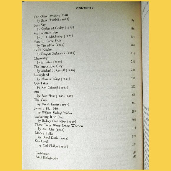 Book - Boys Like Us: Gay Writers Tell Their Coming Out Stories, ed Patrick Merla - Picture 14 of 15
